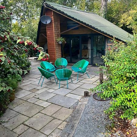 The Shed . A Cosy, Peaceful, 96% Recycled, Chalet. Swansea Dış mekan fotoğraf