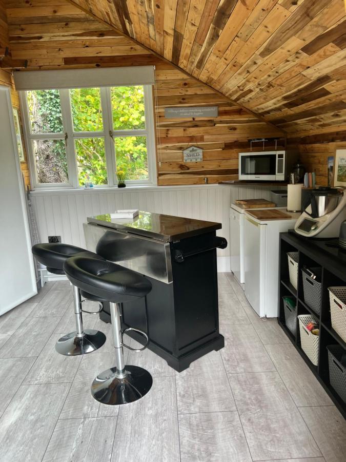 The Shed . A Cosy, Peaceful, 96% Recycled, Chalet. Swansea Dış mekan fotoğraf